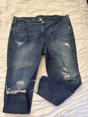 Lane Bryant Distressed Dark Blue Cropped Jeans